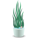 Houseplants