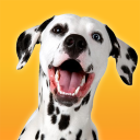 بازی Dalmatian Simulator
