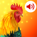 برنامه Animals Ringtones