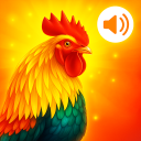 برنامه Animals Ringtones