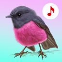 برنامه Bird Songs: Ringtones