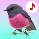 برنامه Bird Songs: Ringtones