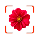برنامه Plant App - Identifier & Care