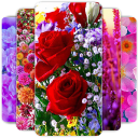برنامه Flowers Wallpaper