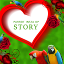 برنامه Parrot Insta DP