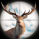 بازی Deer Hunt: Shooting Hunt Games