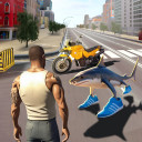 Motorcycle race master