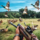 بازی Duck Hunting Challenge