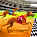 بازی Dog racing games - dog game 3d