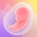 برنامه Pregnancy Tracker App | Glow