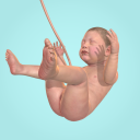 بازی Idle 9 Months