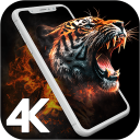 برنامه 4K Wallpapers - HD Backgrounds