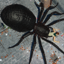 بازی Spider Hunter Amazing City 3D