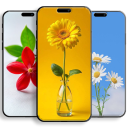 برنامه Aesthetic Flower Wallpapers hd