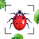 برنامه Bug Identifier Bug Finder