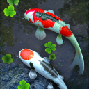 برنامه Water Garden Live Wallpaper