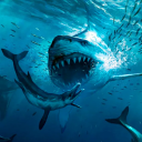 بازی Megalodon Dino Survival Sim