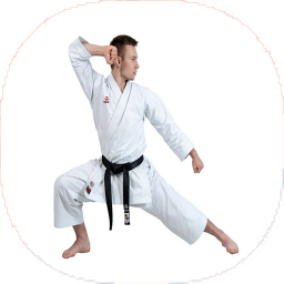 نکات و آموزش کاراته