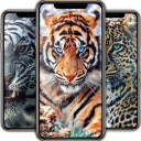 Leopard Wallpaper