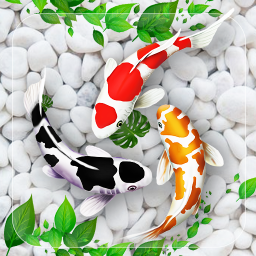 Fish Live Wallpaper 3D Touch
