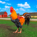 بازی Rooster Simulator - Chick Life