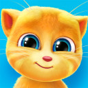 برنامه Talking Ginger