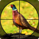 بازی Pheasant Shooter Birds Hunting