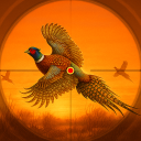 بازی Pheasant Shooter Birds Hunting