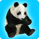 برنامه REAL ANIMALS HD