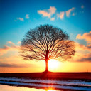 Nature Wallpaper HD Collection