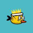 بازی Birdy bird - Game Original