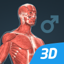 برنامه Human body (male) 3D scene
