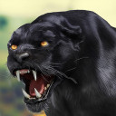 بازی Black Panther Wild Animal Life