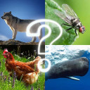 بازی ZOO sounds quiz