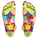 Foot Reflexology Chart