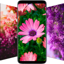 برنامه Flower Wallpapers - Flowrify