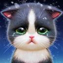 بازی Kitten Match