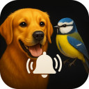 Animal Ringtones