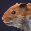بازی Hamster Clicker Earn Coins