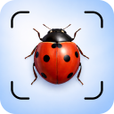 برنامه Insect Identifier App