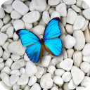 برنامه Stone Wallpapers 4K