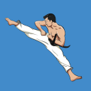 برنامه Mastering Taekwondo at Home
