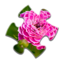 بازی Flower Jigsaw Puzzles