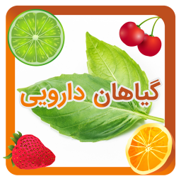 میوه درمانی