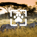 برنامه Animals Wallpaper HD