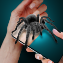 بازی Spider on My Hand Joke