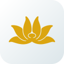 برنامه Vietnam Airlines