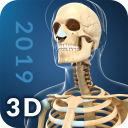 برنامه My Skeleton Anatomy
