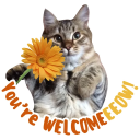 برنامه WASticker - Cat Stickers