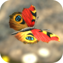 برنامه Butterfly Live Wallpaper Theme